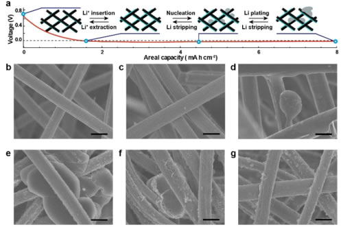 editor1525850509354747.jpg 2.jpg