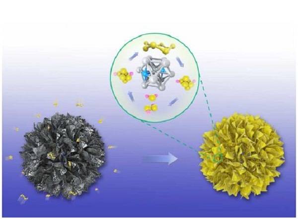 editor1525951800432555.jpg 捕獲1.jpg