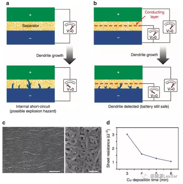 editor1526295222967553.jpg 5.jpg