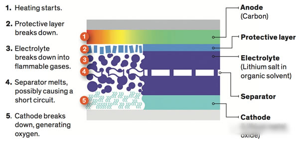 editor1527060643726535.jpg 1.jpg