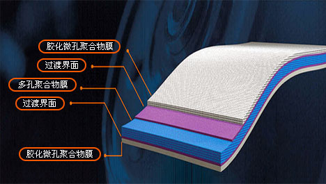 editor1527949992810273.jpg 11.jpg