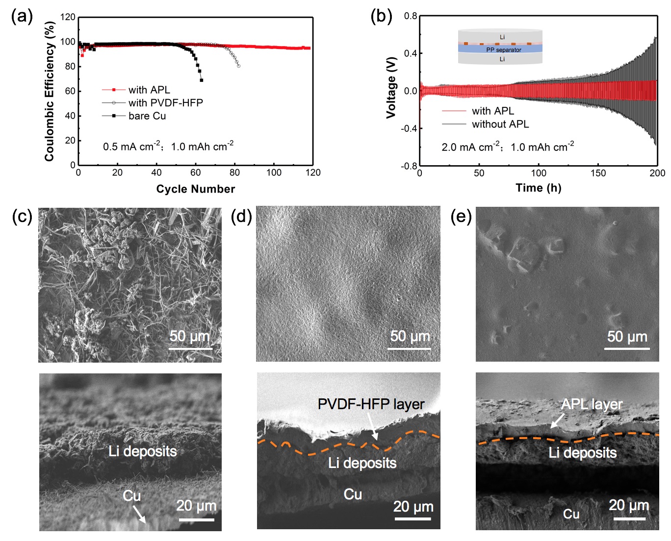 editor1529418087650312.jpg 1.jpg