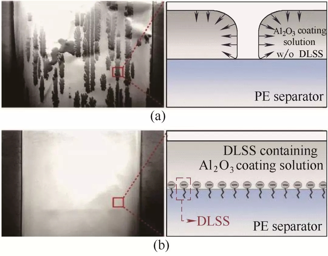 editor1532504372899411.jpg 1.jpg