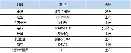 editor1534911777973526.jpg 21.jpg