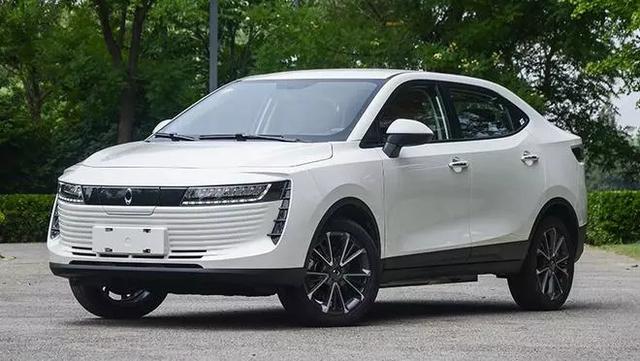 editor1534911839755447.jpg 26.jpg