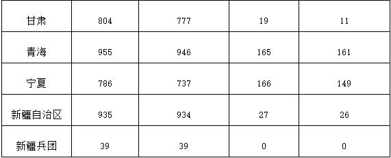 editor1542725035645376.jpg 13.jpg