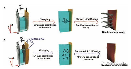 editor1552380937151356.jpg 31.jpg