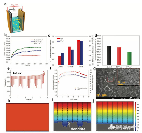 editor1552380974722919.jpg 33.jpg