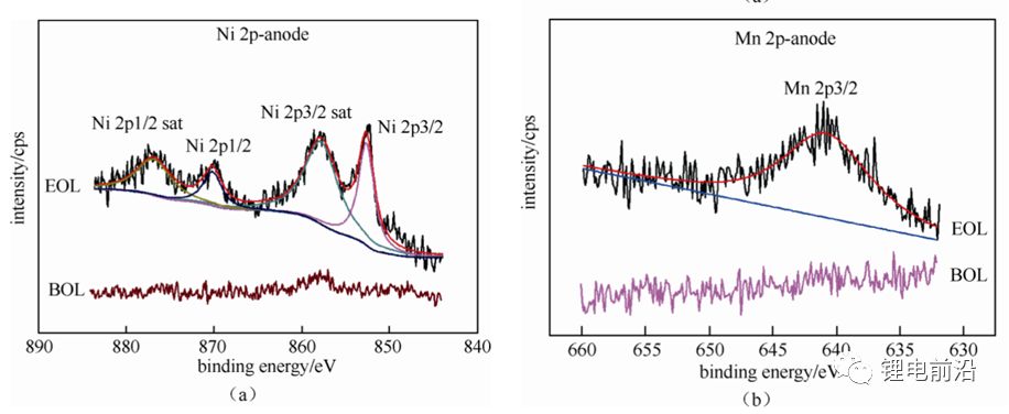 editor1557719094737927.jpg 05.jpg