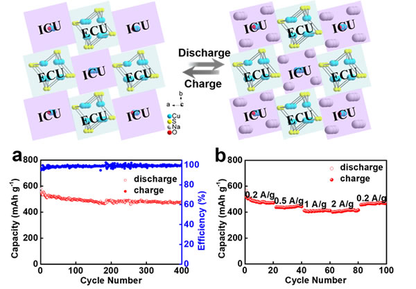 editor1559640952408228.jpg 201905150939_08662100.jpg