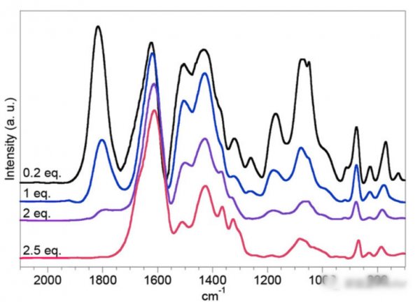 editor1559641377696590.jpg 201905101554_17637000.jpg