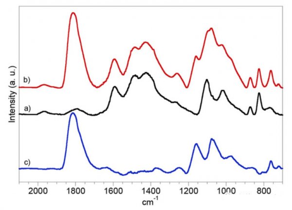 editor1559641402996339.jpg 201905101554_42073600.jpg